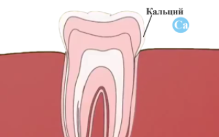 Какие препараты и витамины с кальцием в таблетках лучше для укрепления зубов?