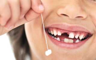 Есть или нет корни у молочных зубов, как они выглядят, как происходит рассасывание?